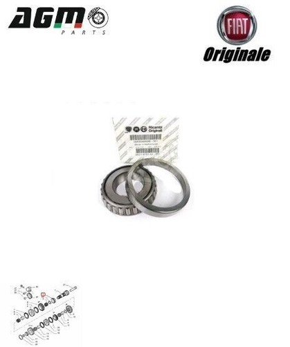 Cuscinetto cambio albero - cuscinetto,